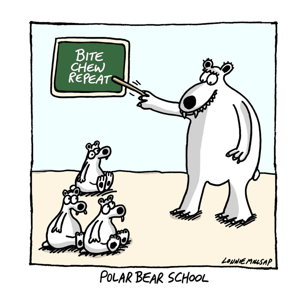 bear school color