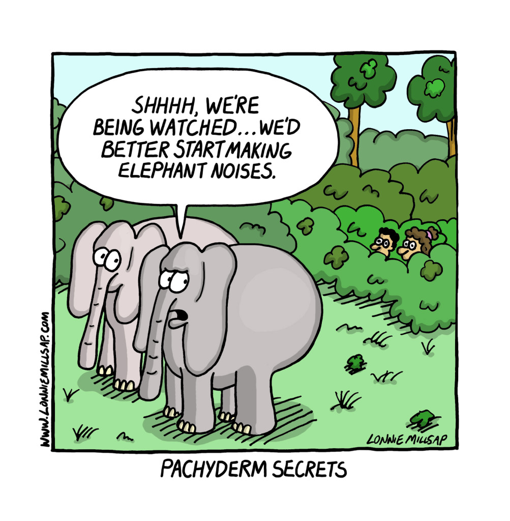elephant color1a