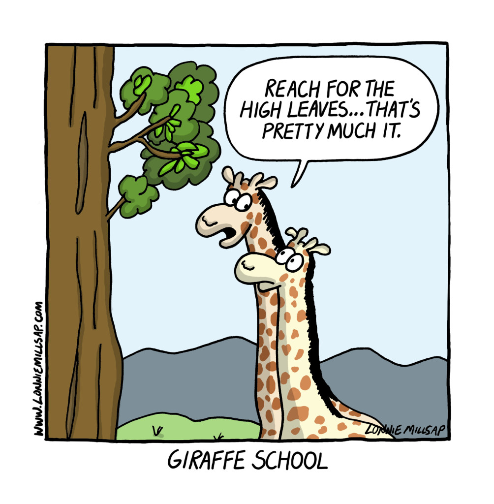 giraffes color