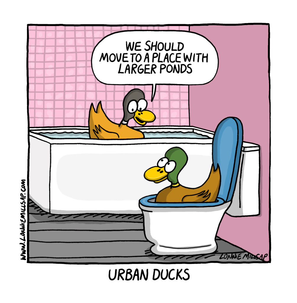 ducks color