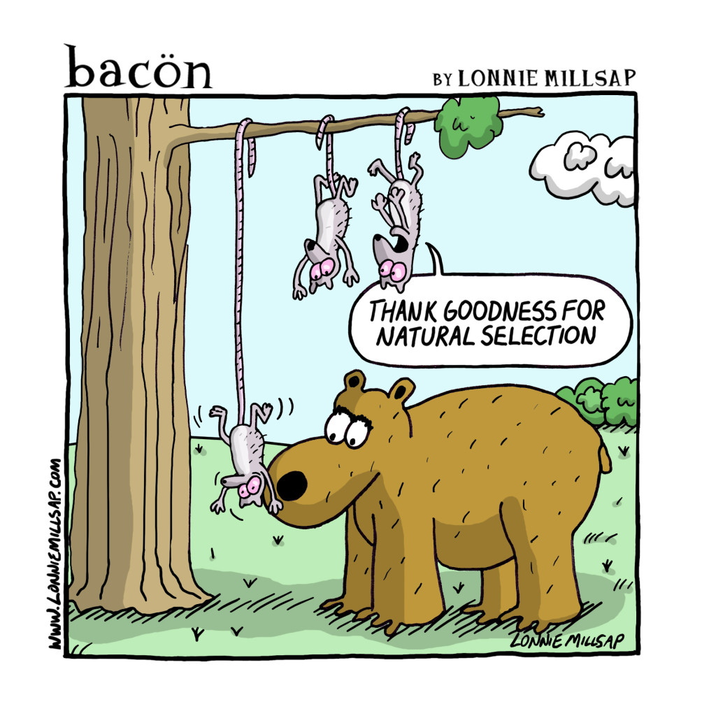 bacon170426