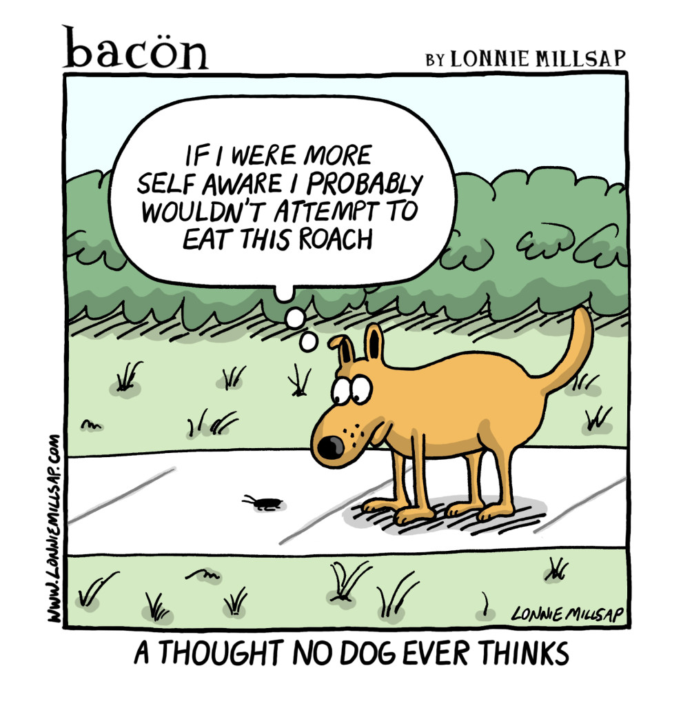 bacon170726