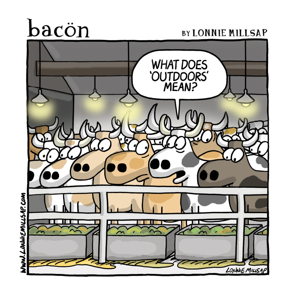 bacon171108