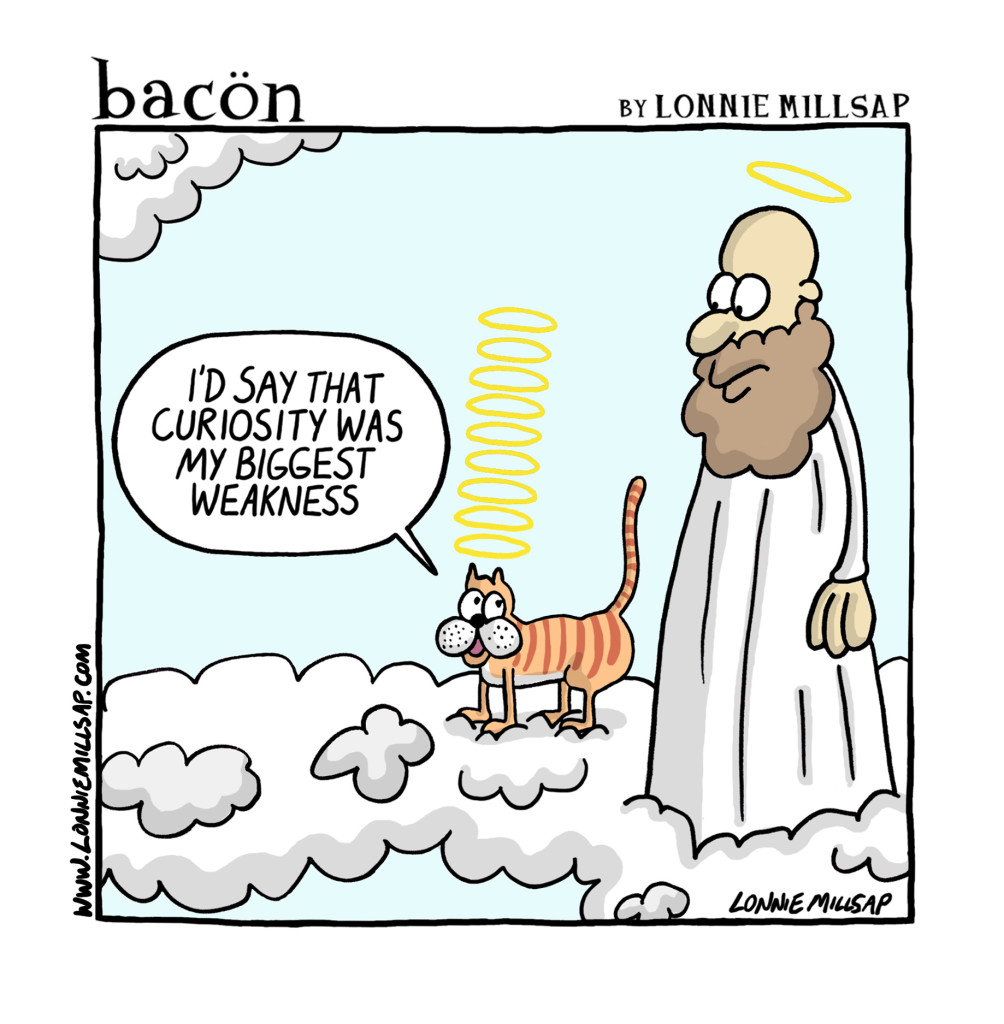 bacon171229
