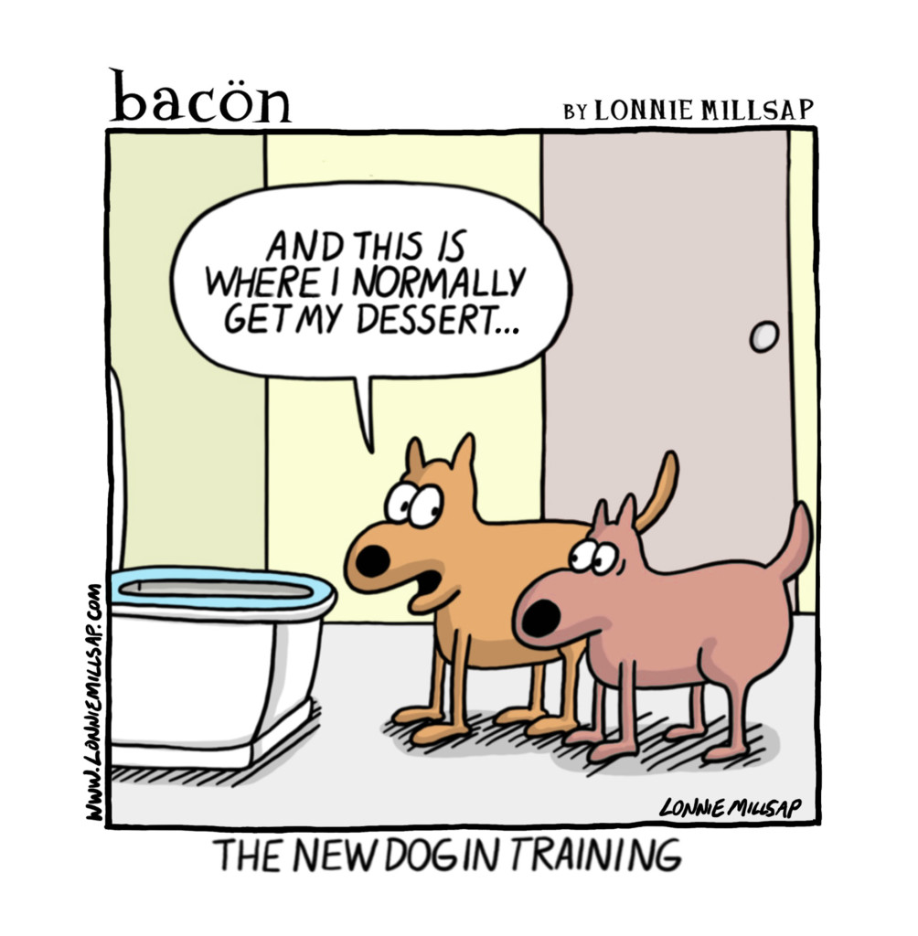 bacon181217